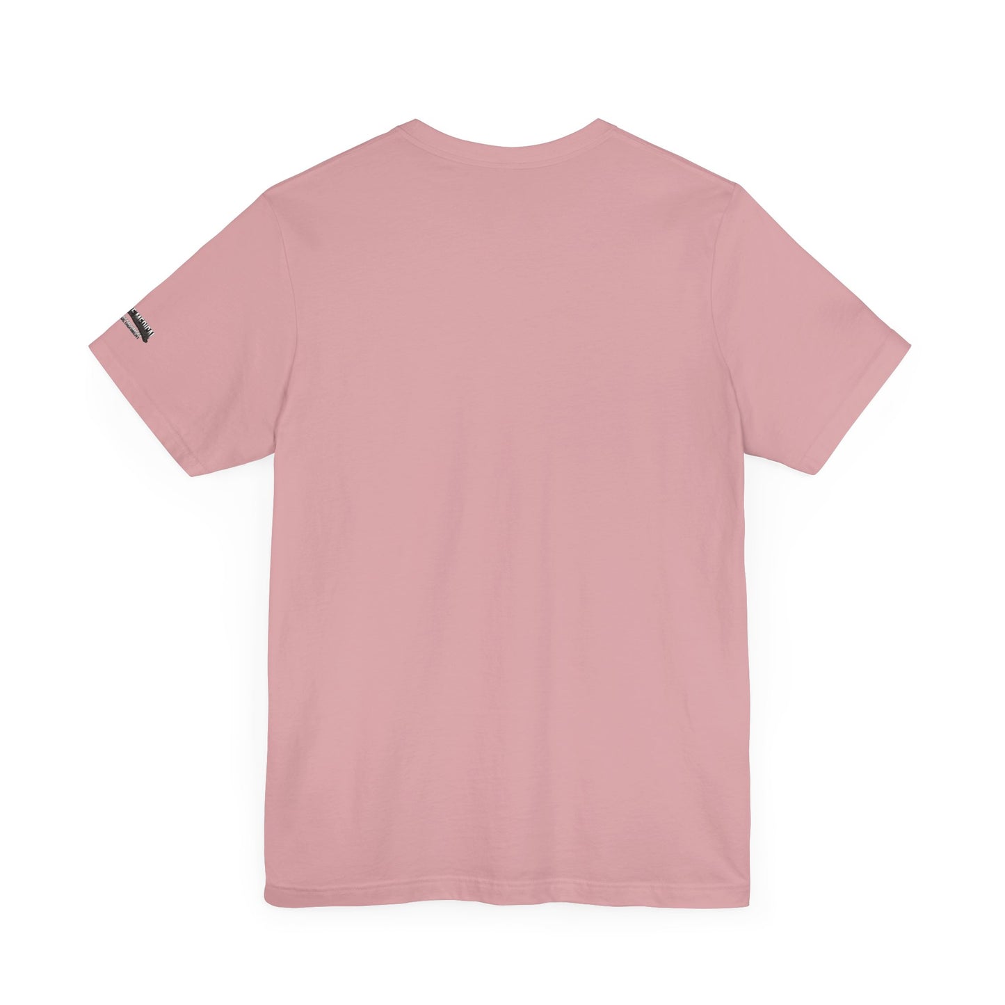 Delaware Medical Readiness Detachment - Lowkey Unisex Jersey Short Sleeve Tee